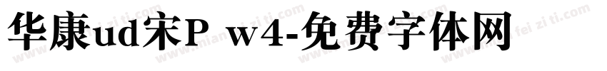 华康ud宋P w4字体转换